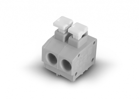 BORNERA 2 POSTES 12A 1.5MM PLUG IN